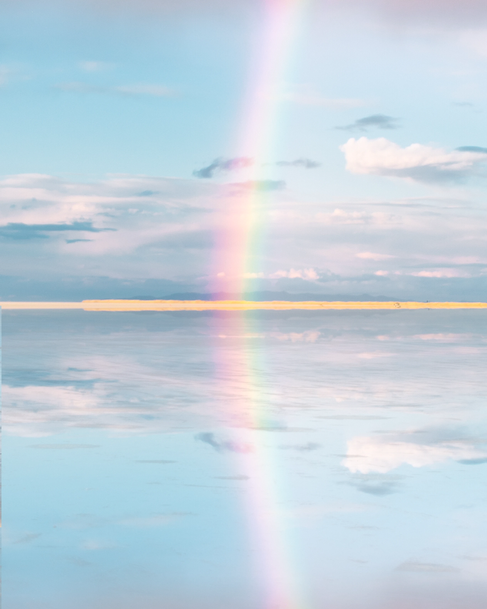 Reflections II.webp