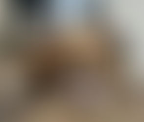 Brownie's Second Chance with MidAmerica Boston Terrier Rescue