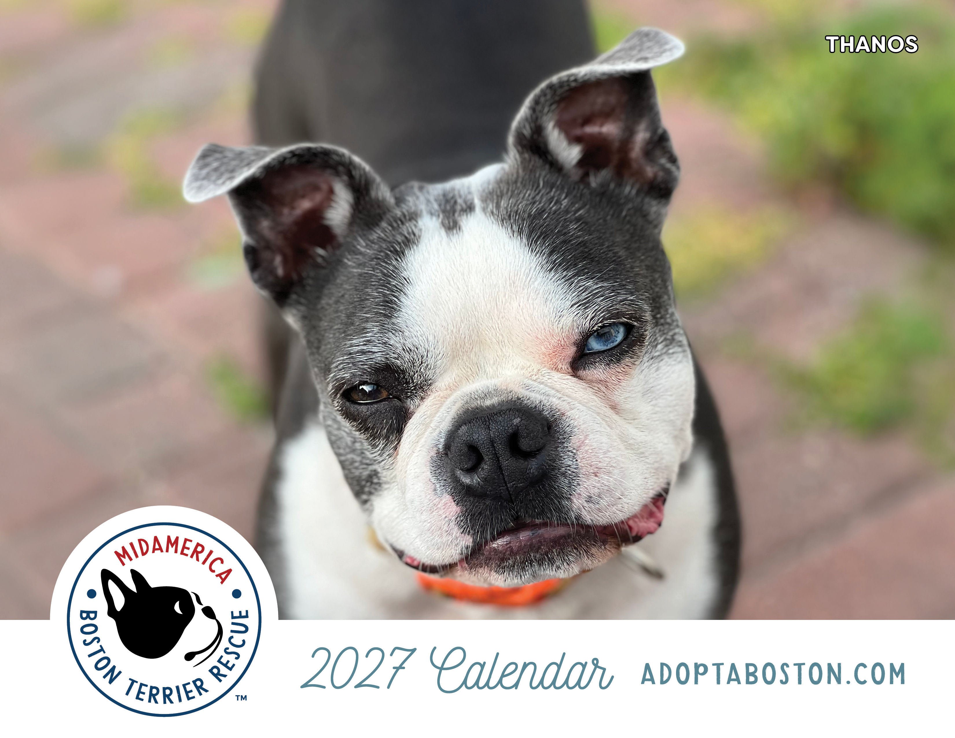 2027 Calendar only