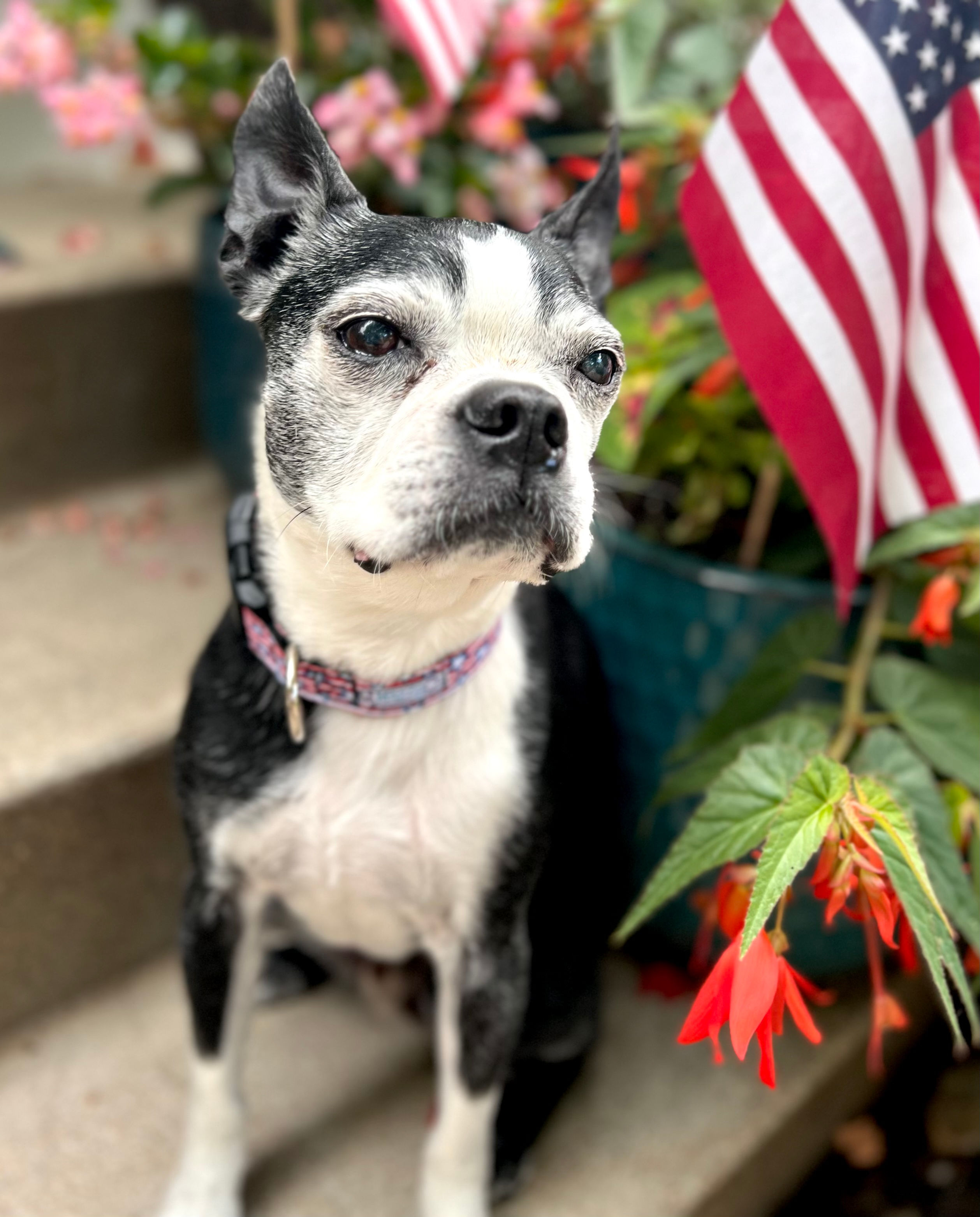 Add'l Photo submission