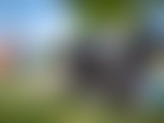 Hidden Dangers in Lawns