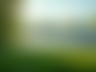 持続可能な発展を目指す大田市の企業