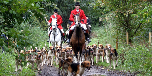 CM3 Icon CONTACT.154.105.194.dcw.0097.png