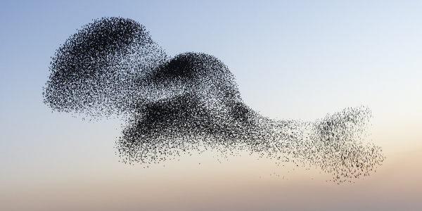 CM3 Icon CONTACT.154.105.194.dcw.0097.png