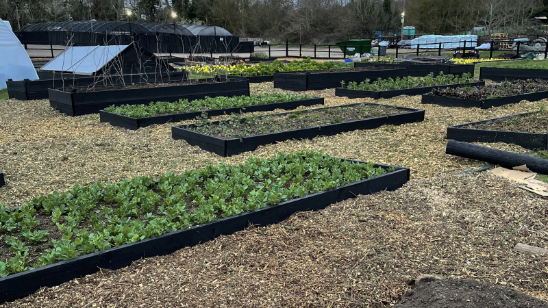 Micro Farms