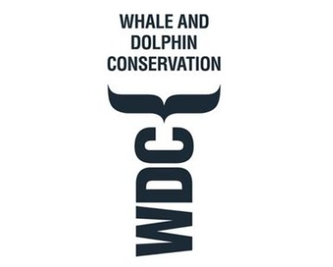 CM3 WDC-logo.5x4.375_edited.jpg