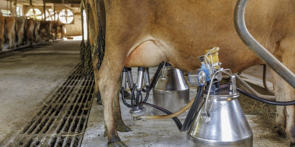 CM3 Icon CONTACT.154.105.194.dcw.0097.png