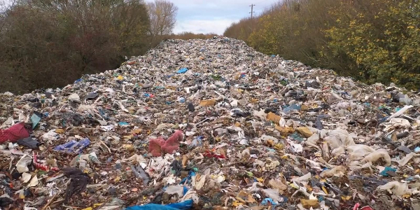 CM3 Icon CONTACT.154.105.194.dcw.0097.png