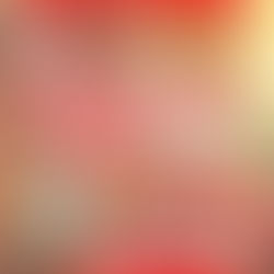 2025クリスマスセール開催中です!!