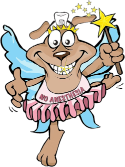 Tooth Fairy Logo icon