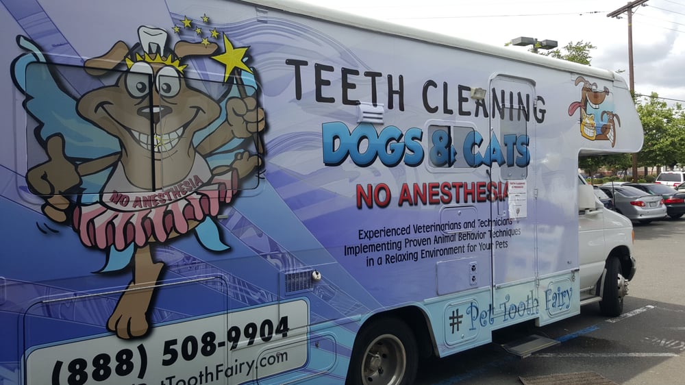 Pet Dental