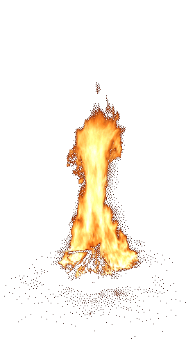 048867_1667d89ae9cb4cc6be8dd21e3f8ad942.