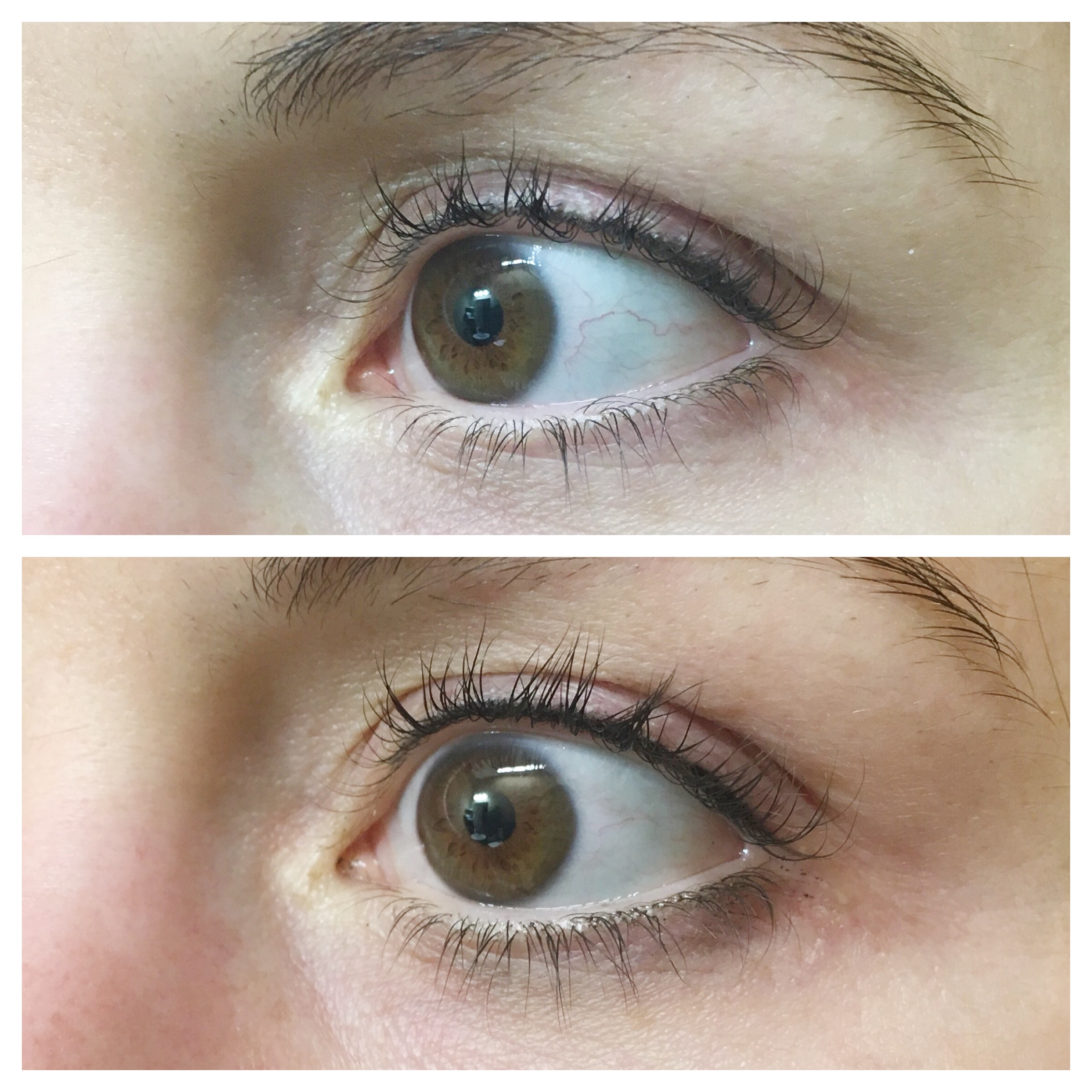 permanent makeup tattoo license california permanent makeup tattoo license california