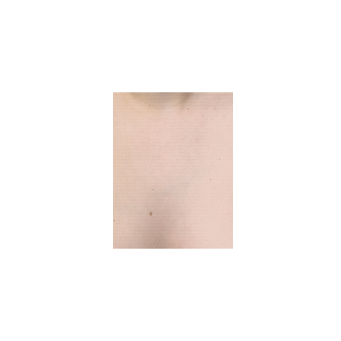 GIF Autorretratada RIHM.gif
