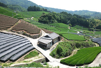 DSCF2001.JPG