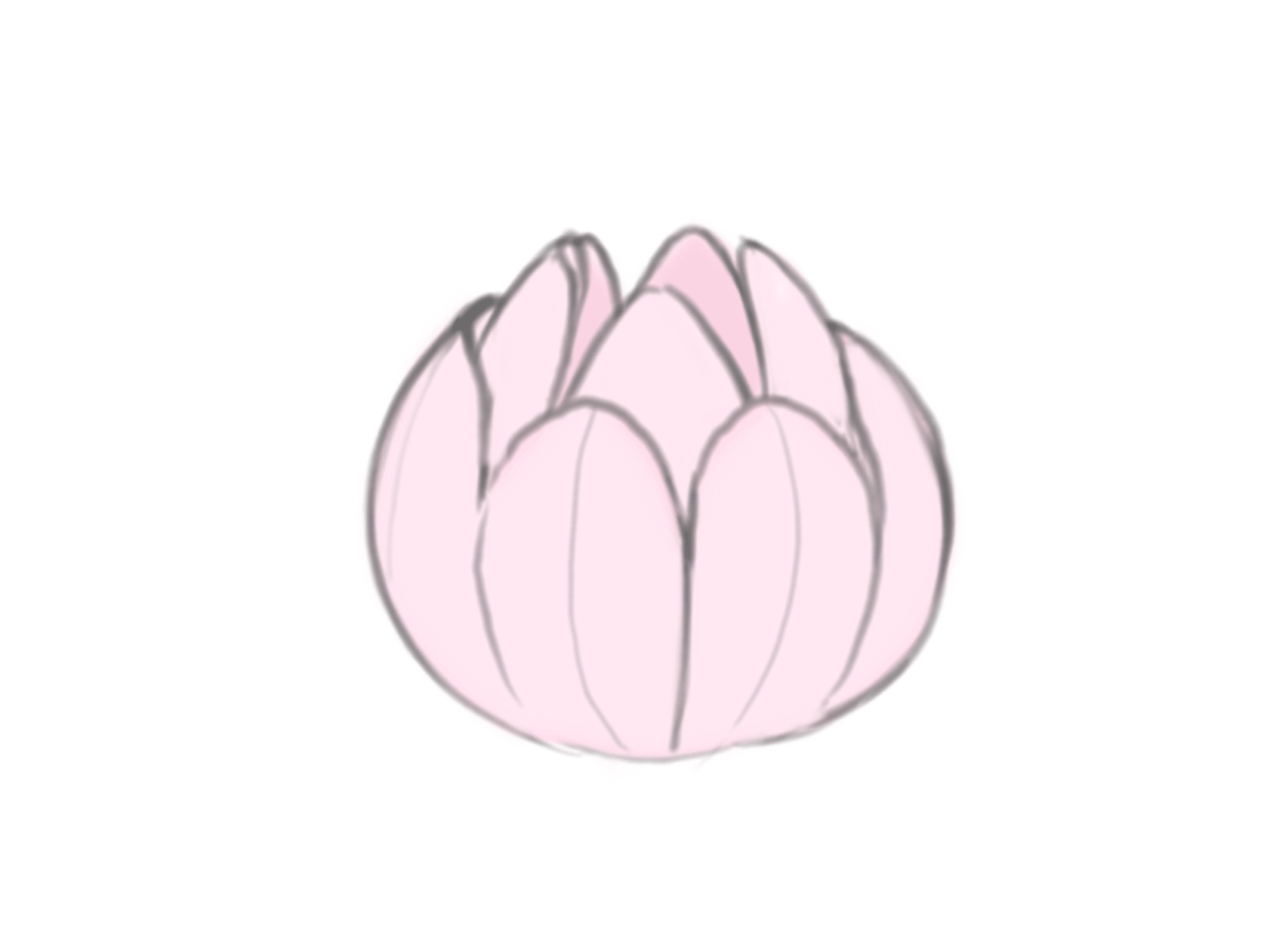 IMG_5315.gif