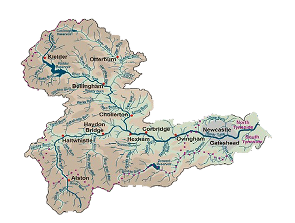 image map.png