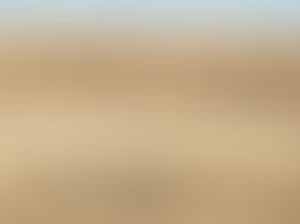 Building the Ultimate Antelope Rifle