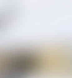 Removing snow with a roof rake