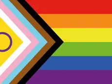 Graphic of the Intersex-Inclusive Progress Pride Flag. The traditional rainbow Pride stripes appear on the right, while the Progress Pride chevron on the left includes black, brown, light blue, pink and white stripes alongside the intersex symbol: a purple ring on a yellow triangle. The bold, colourful design fills the frame with no additional text.