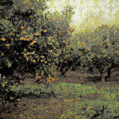 an orange orchard in muted monochromatic colors.jpg