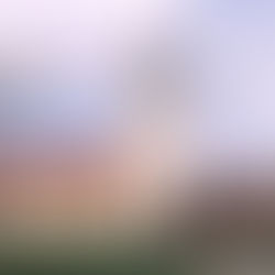 Hamlin speaking Tour