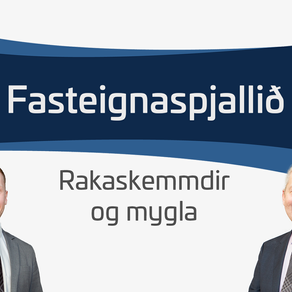 Rakaskemmdir og mygla