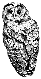 OWL.png