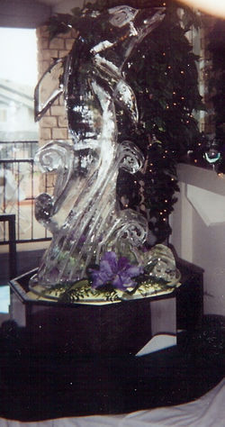 Dolphin