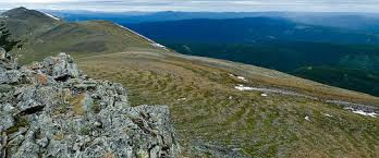 Mount Hamel