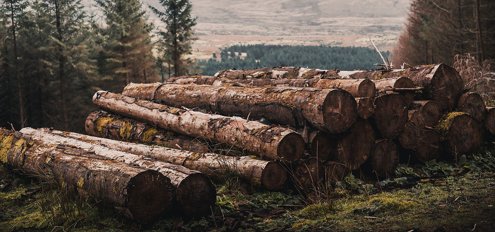 gregory-dalleau-_8oJQ_42a24-unsplash_edi