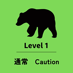 level1.png