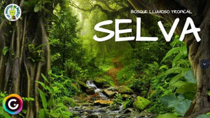 La SELVA