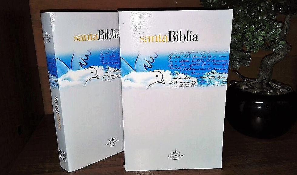 Santa Biblia