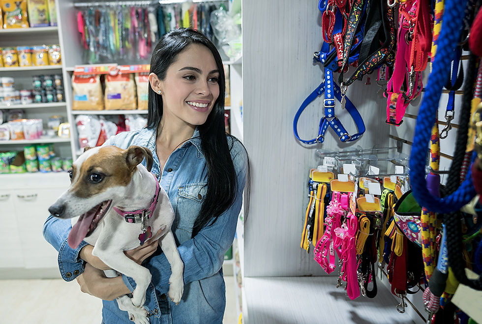 Mercado pet cresce e traz novas oportunidades de negócios
