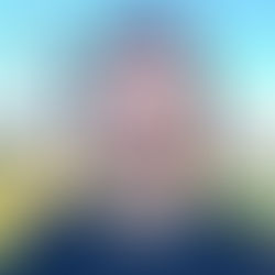 As dicas de Maurício Benvenutti