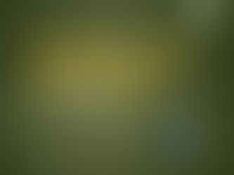 Lojistas estão otimistas