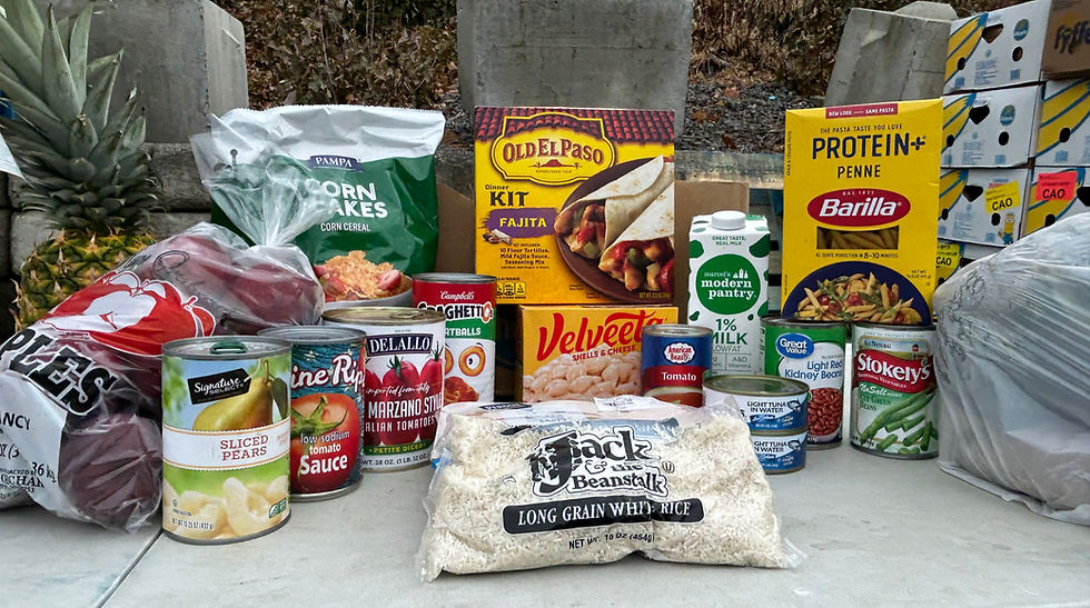 A sample of what each household receives from our food distribution.