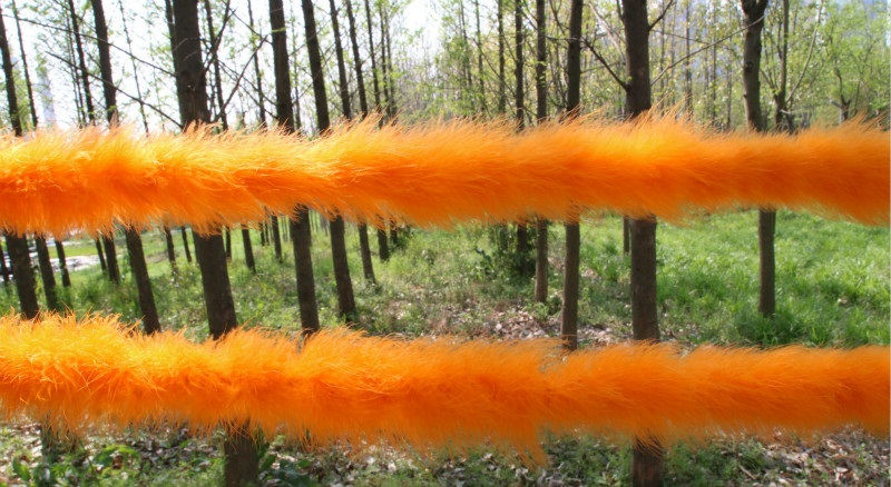 ภาพขนาดย่อ: ขนมิ้งหนาพิเศษ