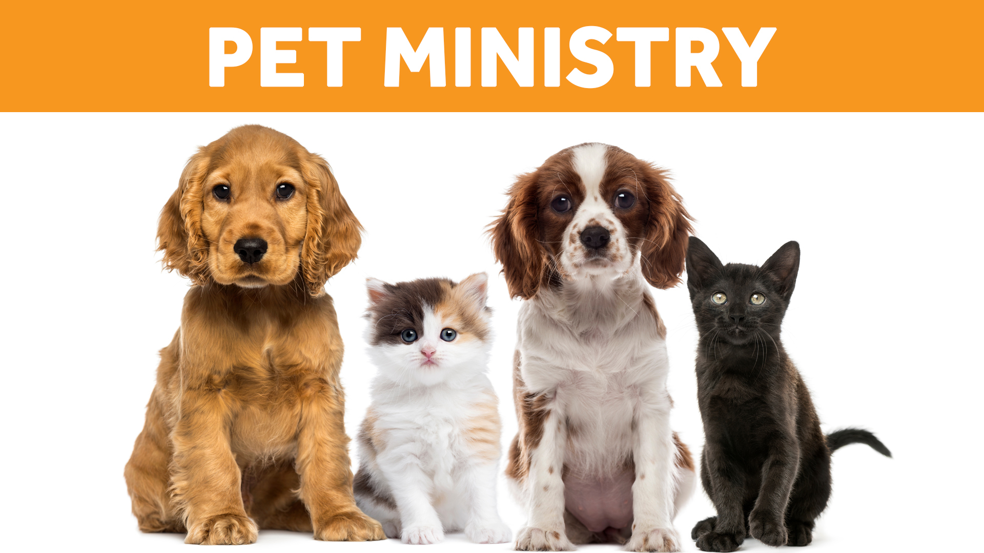 PetMinistry_Web