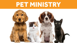 PetMinistry_Web