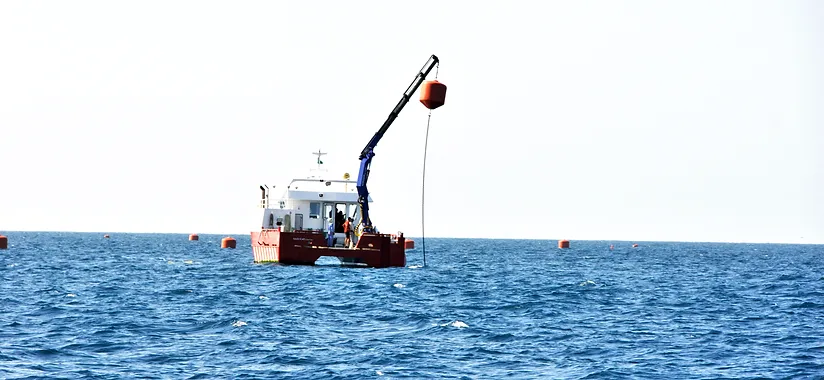 balik ciftligi demirleme mooring malzeme ve kurulumu asakua izmir turkiye