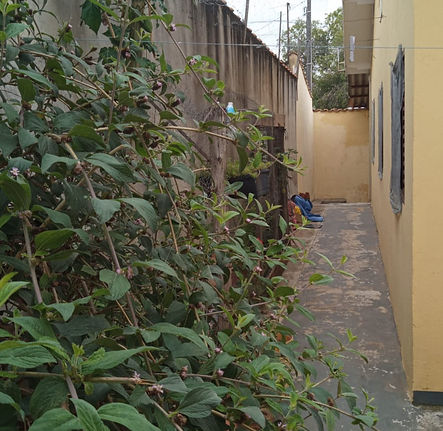 WhatsApp Image 2025-12-09 at 12.03.16 (3).jpeg