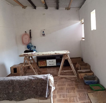 WhatsApp Image 2025-12-09 at 12.03.17 (4).jpeg