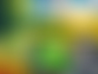 Alqueire, Jarda, Metro ou Quilômetro? Entenda as Diferenças Entre as Unidades de Medida