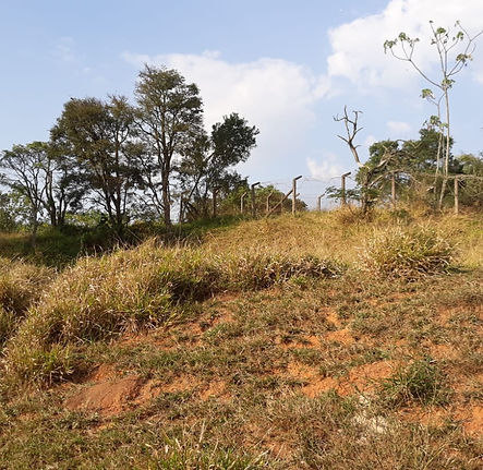 WhatsApp Image 2025-09-23 at 15.20.50.jpeg