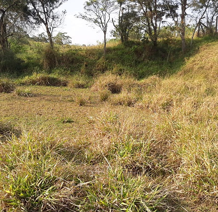 WhatsApp Image 2025-09-23 at 15.20.49 (1).jpeg