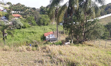 WhatsApp Image 2025-09-23 at 15.20.51 (1).jpeg