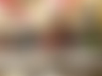 Meilleurs voeux 2016 !