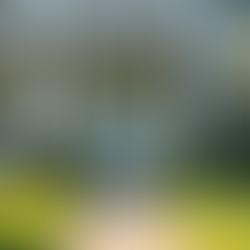 Benefits of Proactive Property Management